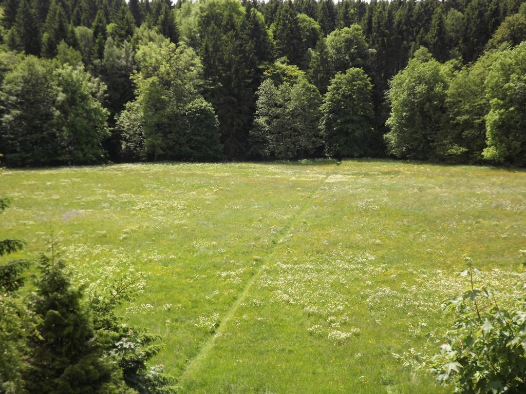 Příroda nedaleko penzionu
