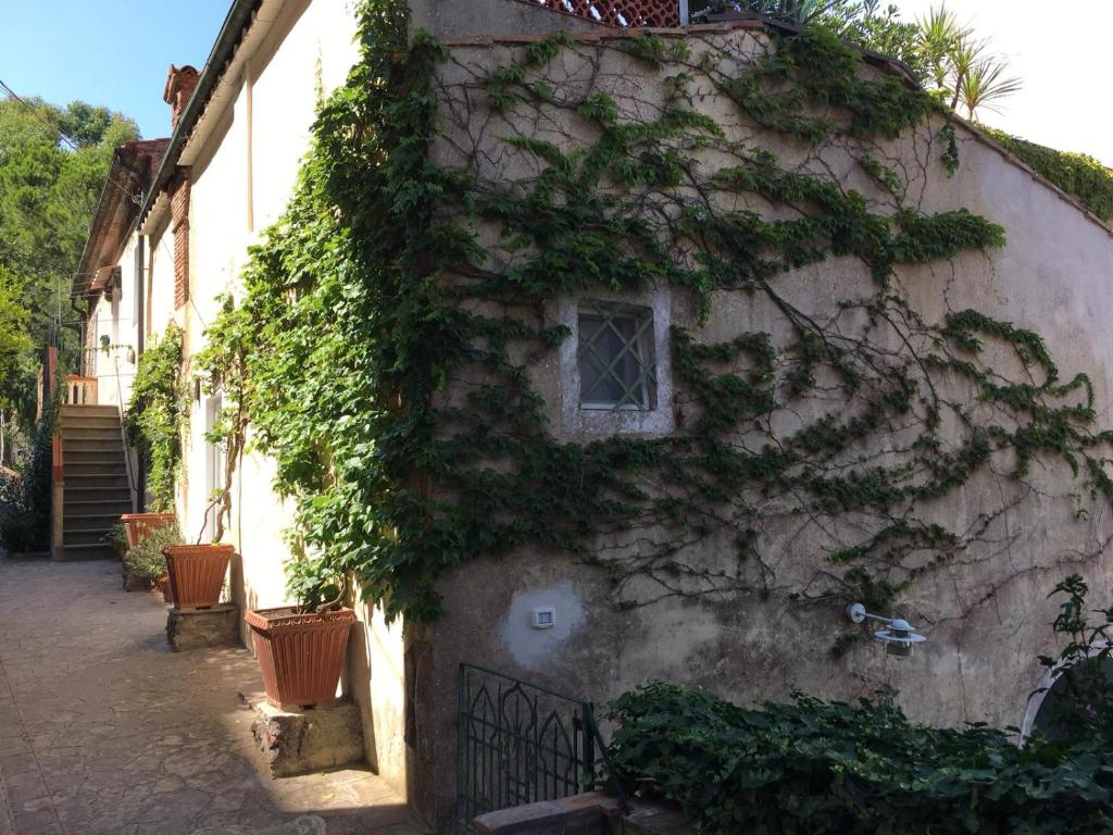 an ivy covered building with a window and a fence at Casa di Charme, Rio nell'Elba in Rio nellʼElba