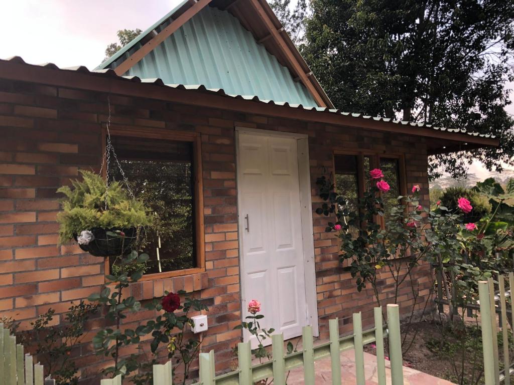 Jardí fora de Tribu EcoHostal
