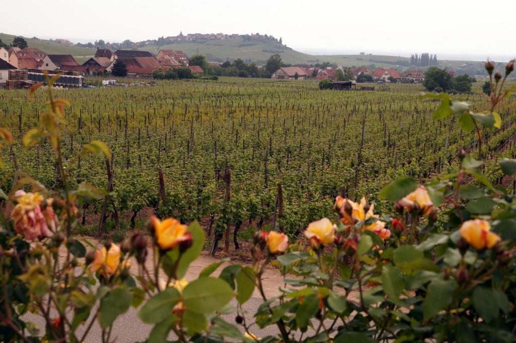 Gite Le Mandlé – photo 26