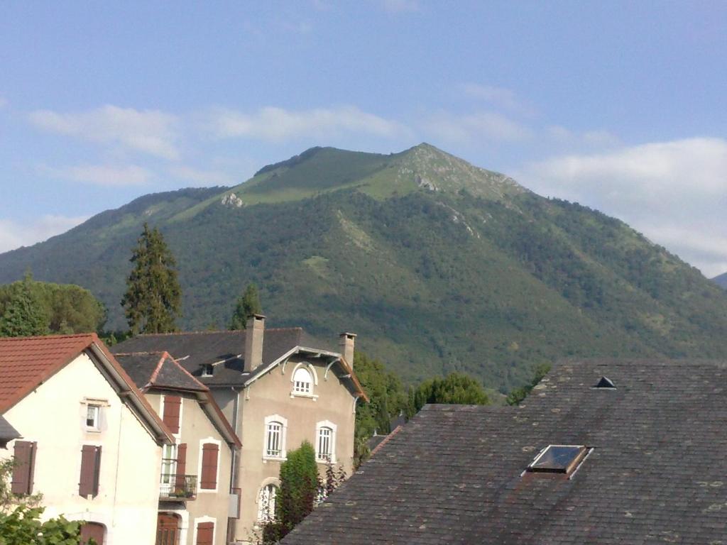 a mountain in the distance with houses and roofs at GITE "LES SAPINS" in Izest