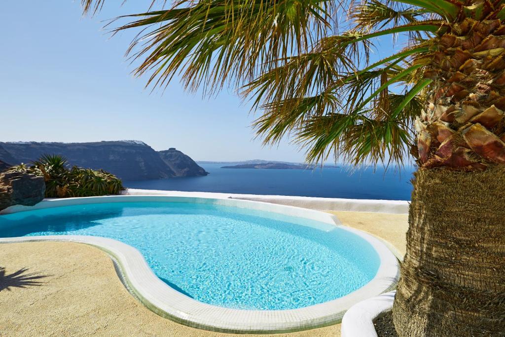 a swimming pool with a palm tree next to the ocean at Ftelari Villa in Oia