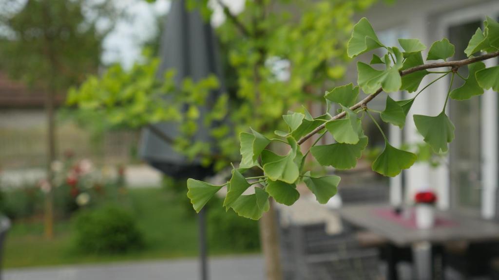 Hotel Magdalena - Resim 3