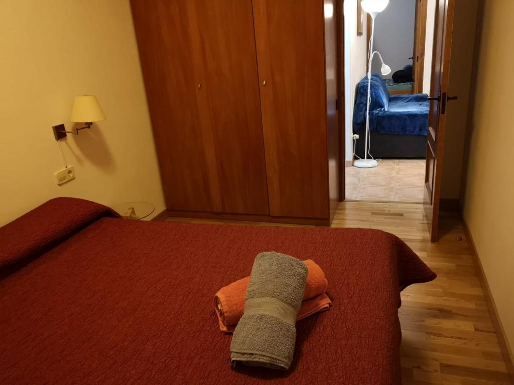 Postel nebo postele na pokoji v ubytování Apartament de la Lali Roní