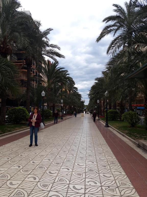 Appartement Plaza San Cristobal (Spanje Alicante) - Booking.com