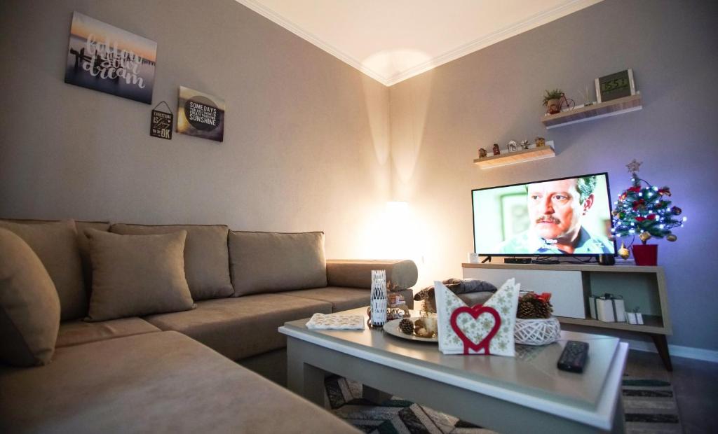 TV a/nebo společenská místnost v ubytování Elite Apartments Korçë