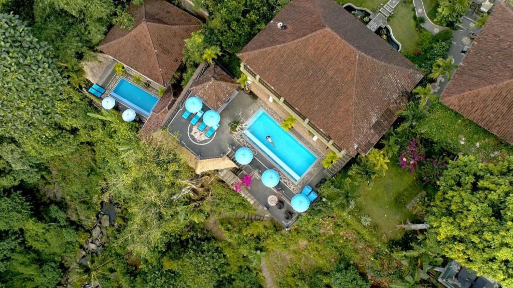 Bazén v ubytování Villa Kalisat Resort nebo v jeho okolí