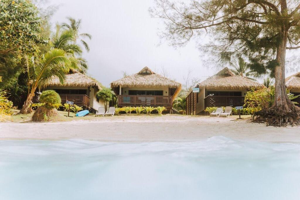 Φωτογραφία από το άλμπουμ του Muri Shores σε Rarotonga