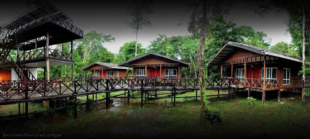 a group of houses with a bridge in front of them at Borneo Nature Lodge in Sukau
