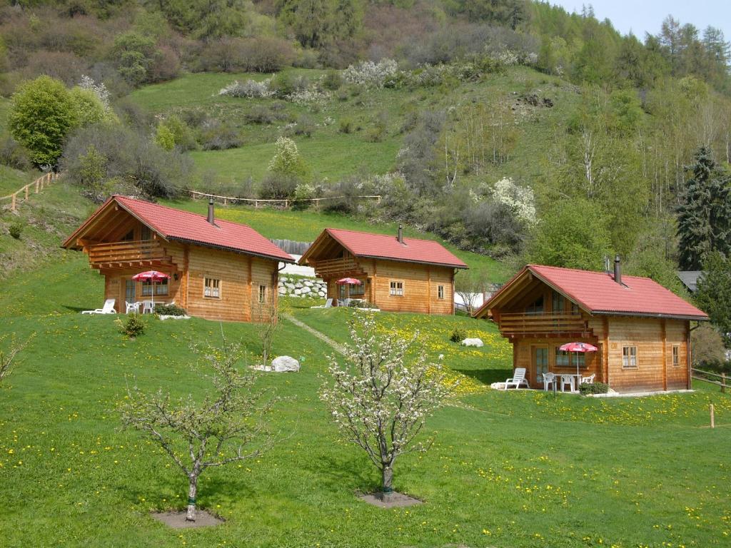 two wooden cabins with red roofs in a field at Chalets Trafögl in Müstair
