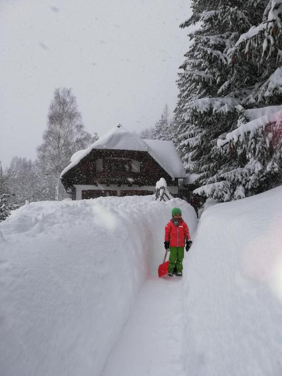 Alpenhaus Ganser-Dixit during the winter