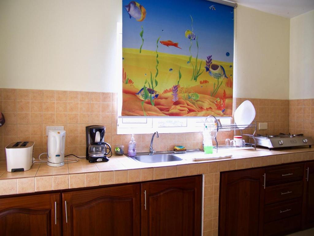 Kuchyň nebo kuchyňský kout v ubytování Azure Villa