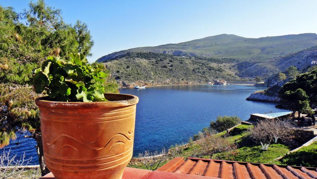 a potted plant sitting on top of a roof with a lake at Tramontana in Hydra