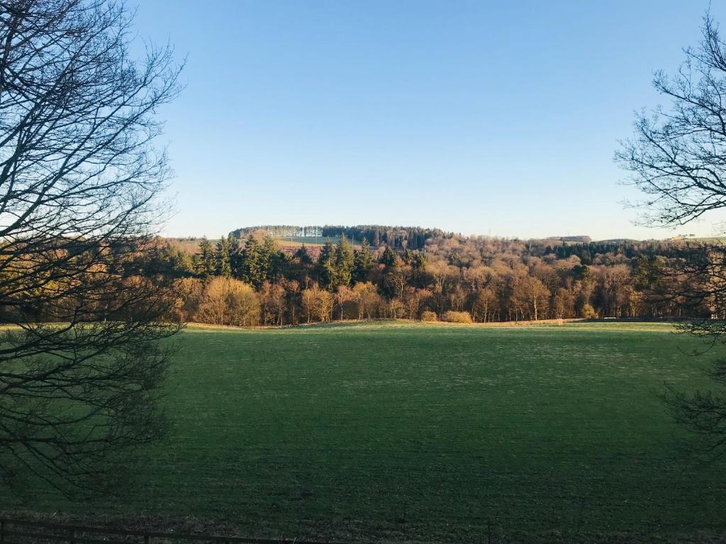 un grande campo verde con alberi sullo sfondo di The Bothy at Ivy Cottage a Haltwhistle