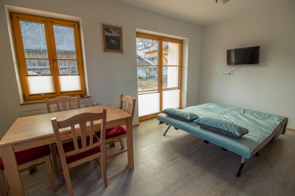 TV a/nebo společenská místnost v ubytování Apartments & Rooms Pr' Skalovc