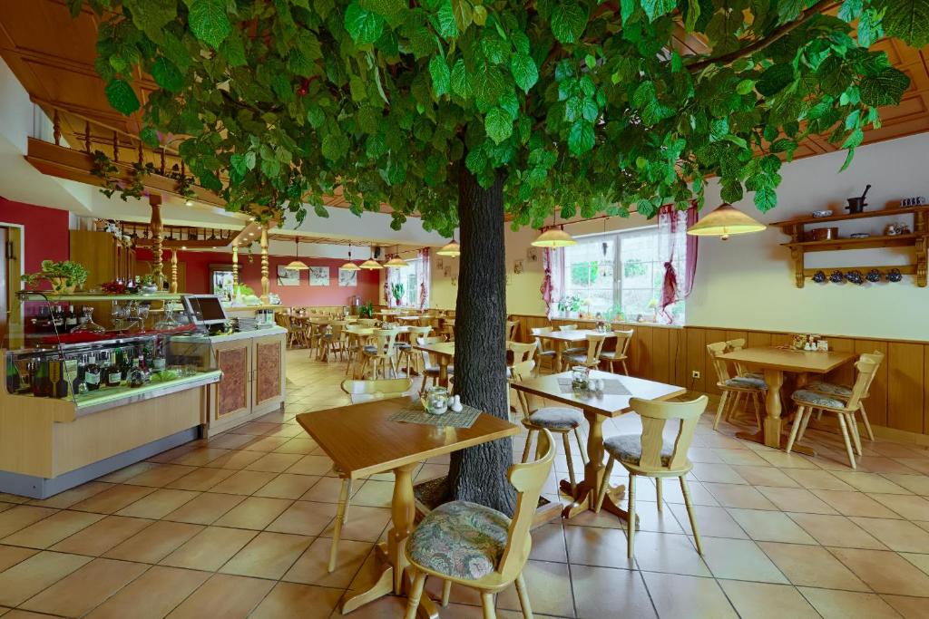 Restaurace v ubytování Hotel Auerhahn