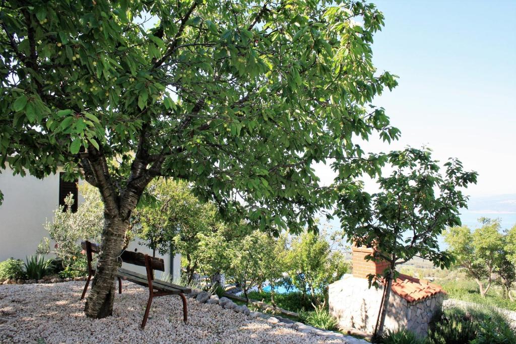 Vonkajšia záhrada v ubytovaní Villa Beloved near Baska Voda, private pool