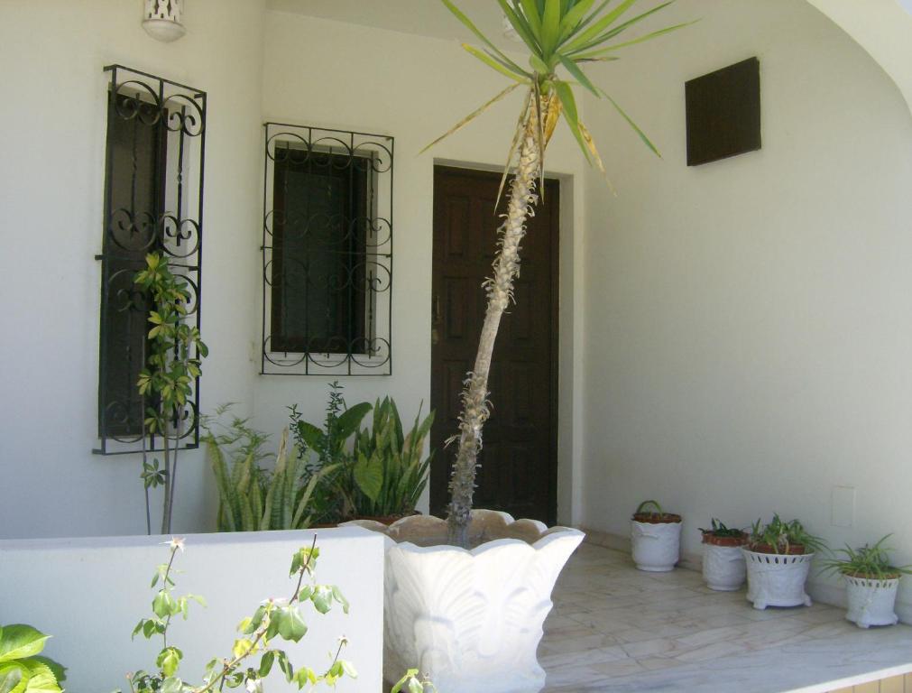 Zahrada ubytování Casa Belmira