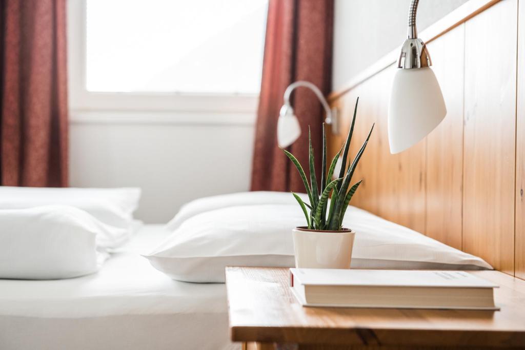 Una cama con una mesa con libros y una planta. en Apartments Mühlegg, en Campo Tures