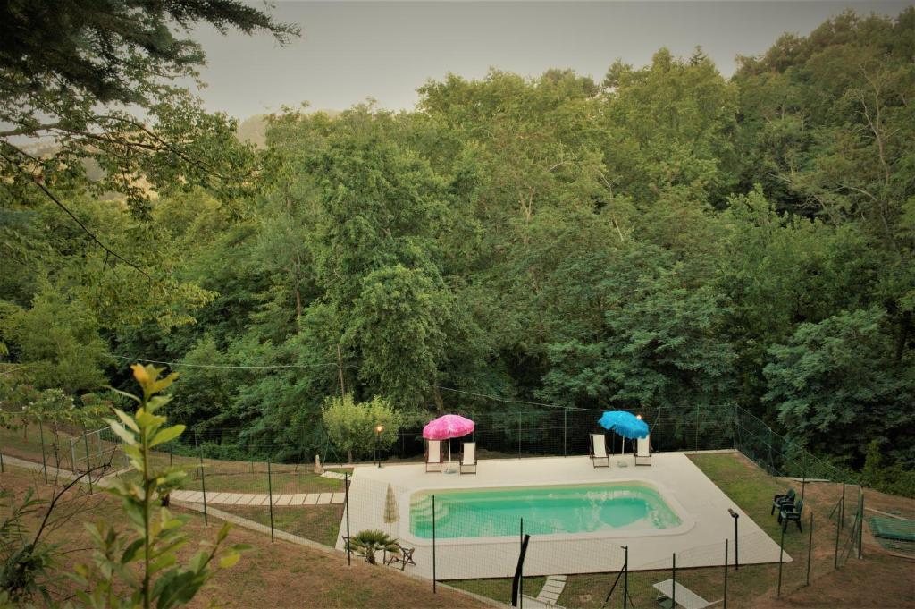 Tenis lub squash w obiekcie Casa delle Palme lub w pobliżu