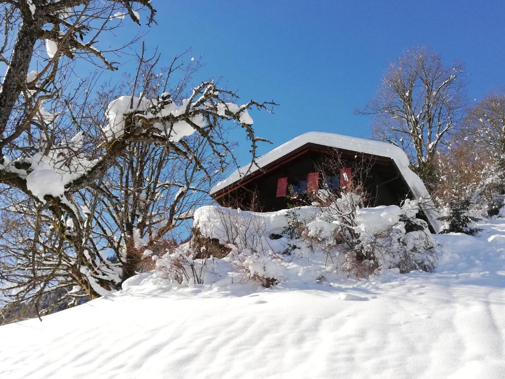 un camion recouvert de neige devant une maison dans l'établissement Ferienhaus Schnider, à Galgenul