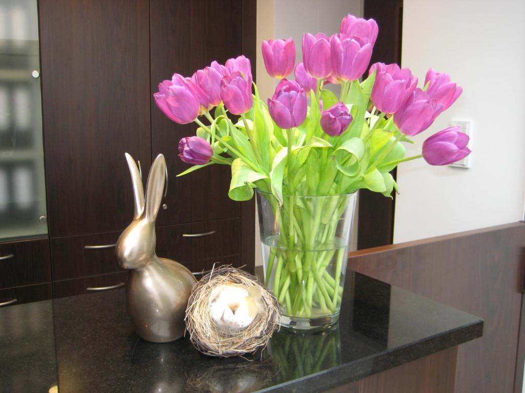 Wohlfühl-Hotel Neu Heidelberg - Resim 21