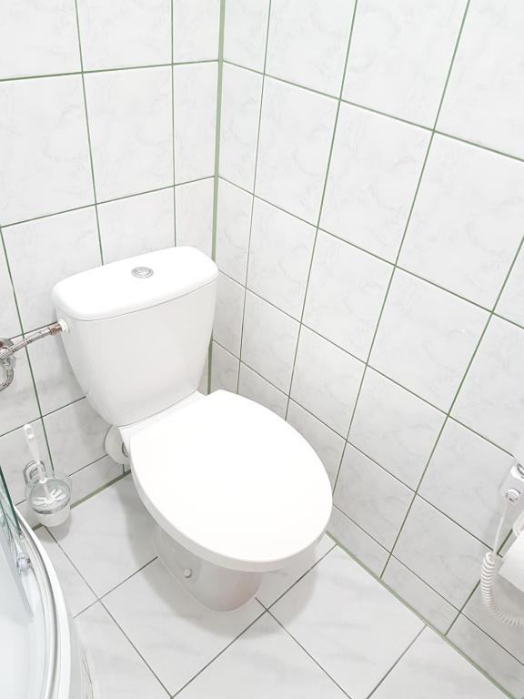 Kúpeľňa v ubytovaní Willa RYŚ