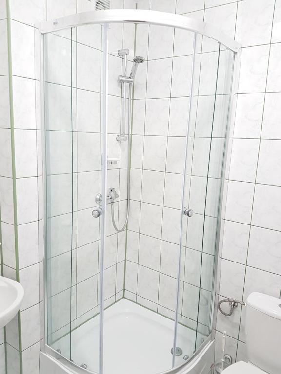 Kúpeľňa v ubytovaní Willa RYŚ