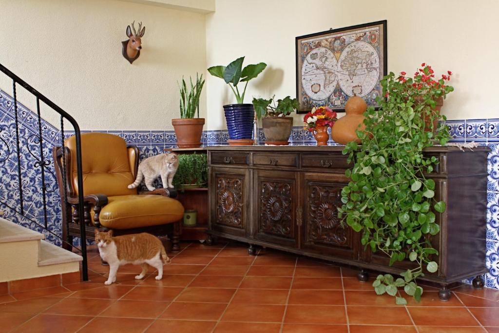 Vila Graciosa - Tranquility Oasis - 19