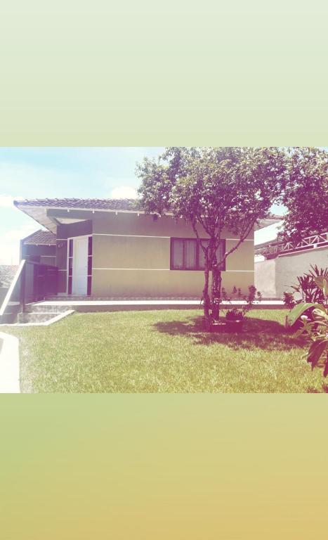  Casa verde