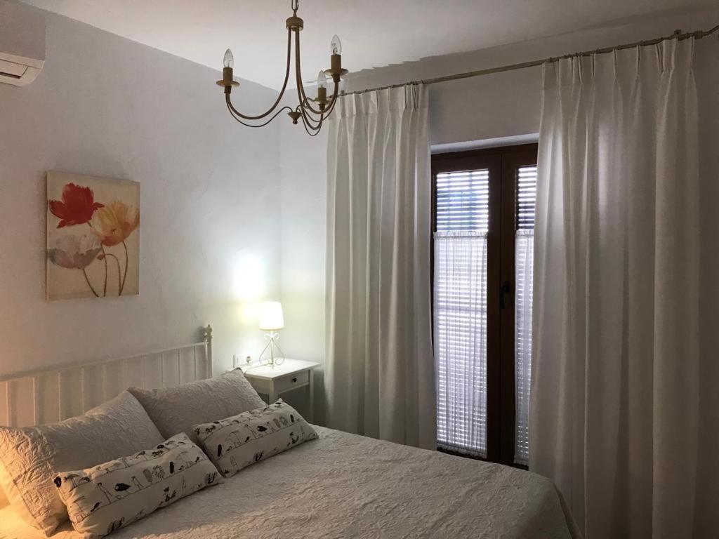ベヘール・デ・ラ・フロンテーラにあるCasa Calle Alta Maria Bajoのベッドルーム1室(シャンデリア、窓付)