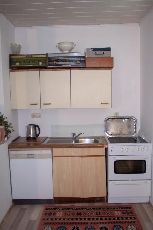 Kuchyň nebo kuchyňský kout v ubytování Guest House Fena