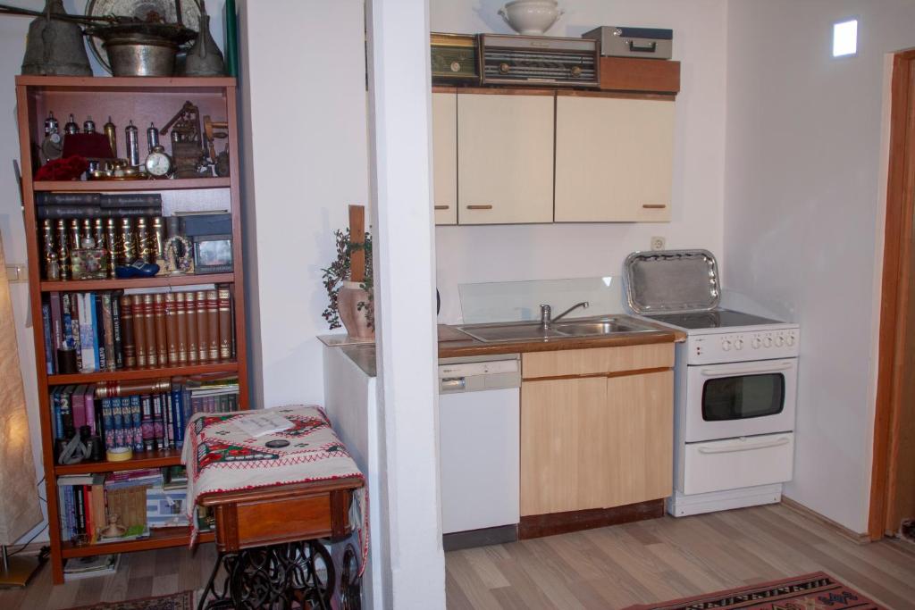 Kuchyň nebo kuchyňský kout v ubytování Guest House Fena