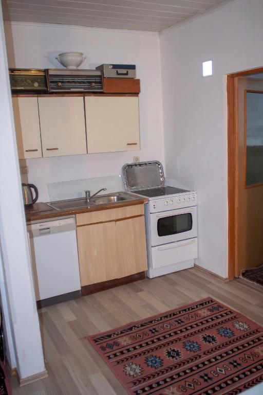 Kuchyň nebo kuchyňský kout v ubytování Guest House Fena