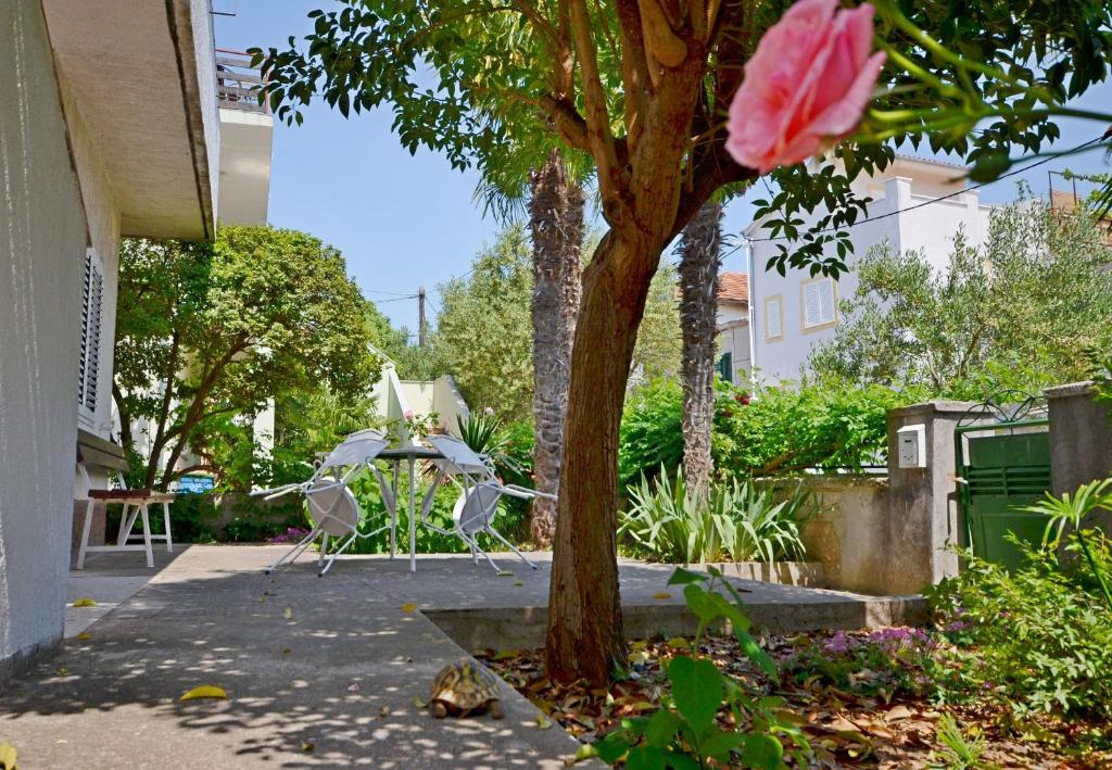 Vonkajšia záhrada v ubytovaní Apartments Miroslava