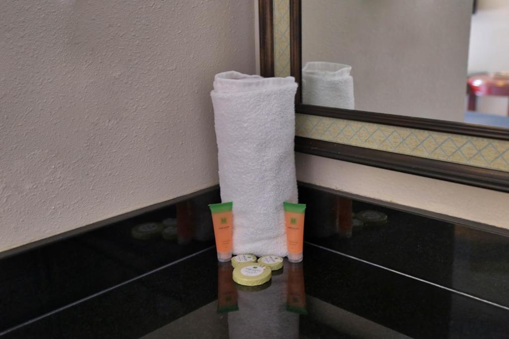 a roll of toilet paper on a wall in a bathroom at Destiny Palms Hotel Maingate West in Kissimmee