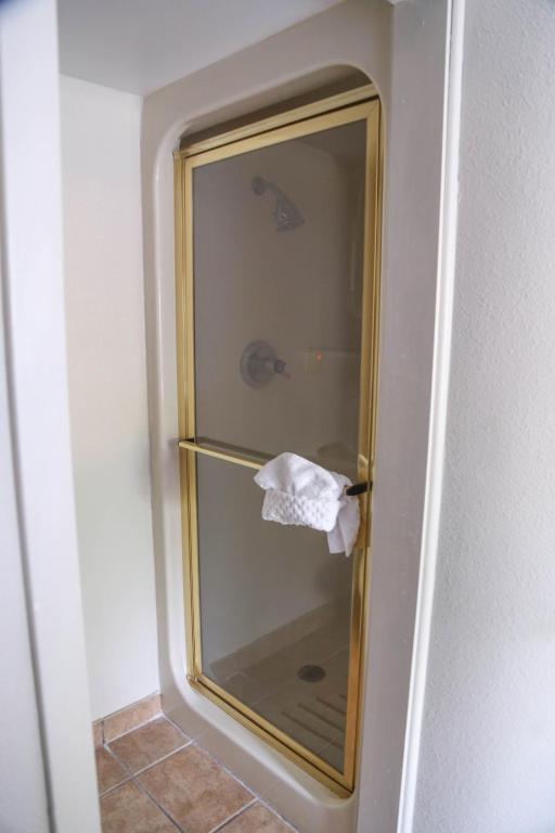 a glass shower door with a roll of tissue at Destiny Palms Hotel Maingate West in Kissimmee