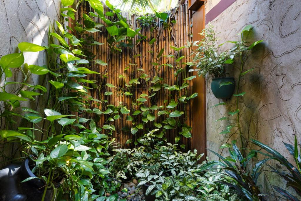 Bungalow Superior Nhìn Ra Khu Vườn