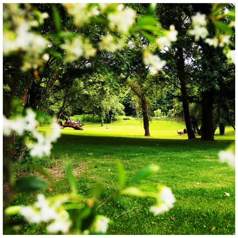 A garden outside NG Sapanca Wellness & Convention