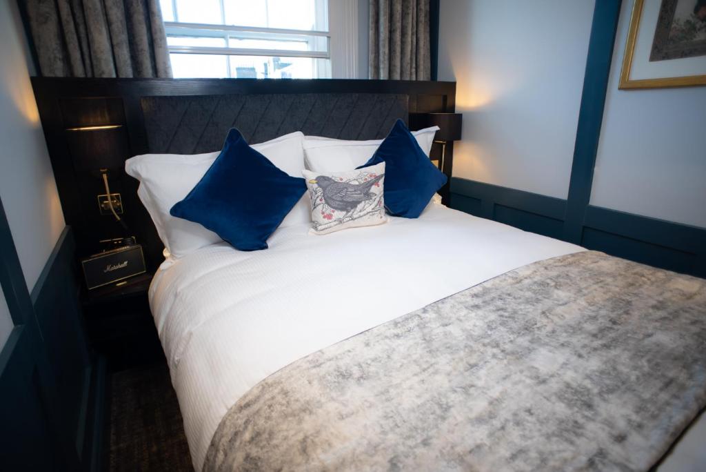 Blackbird - Resim 22