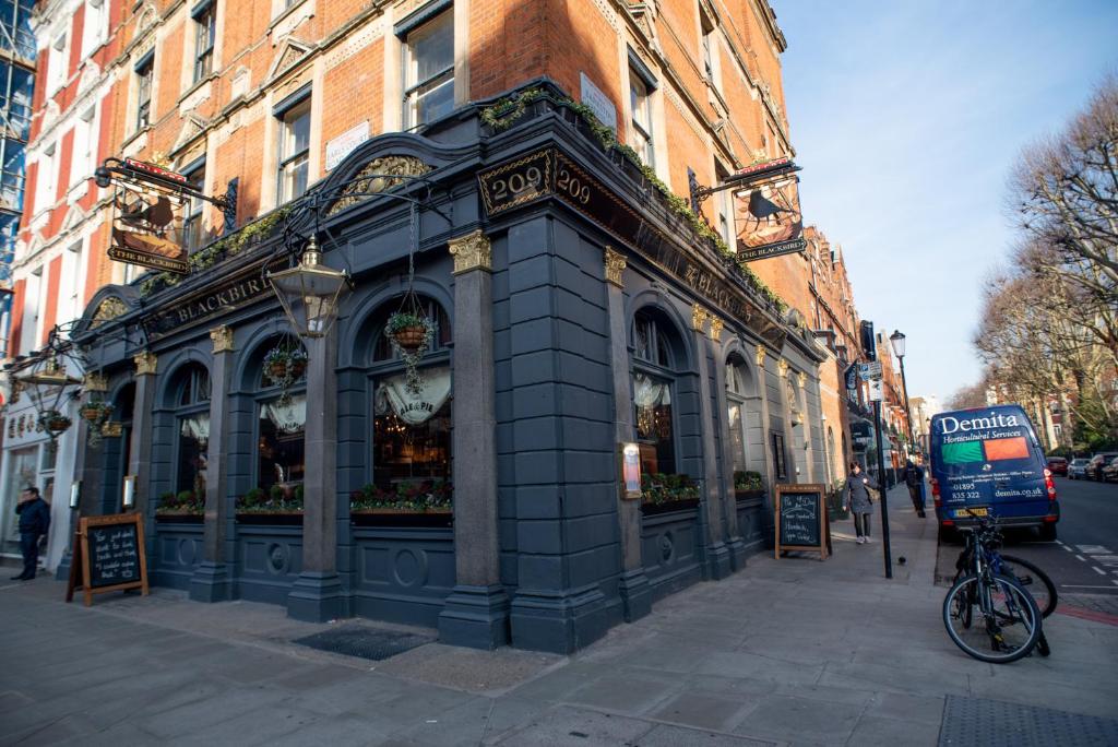 Blackbird - Resim 17