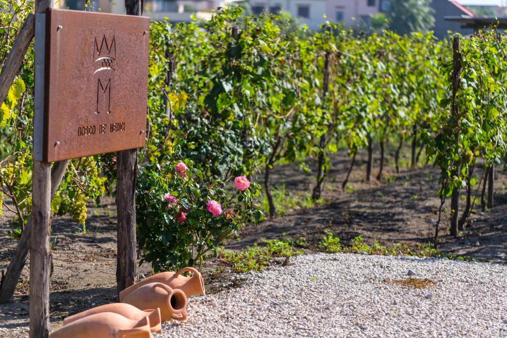 Giardino di Resort & Winery Bosco De Medici
