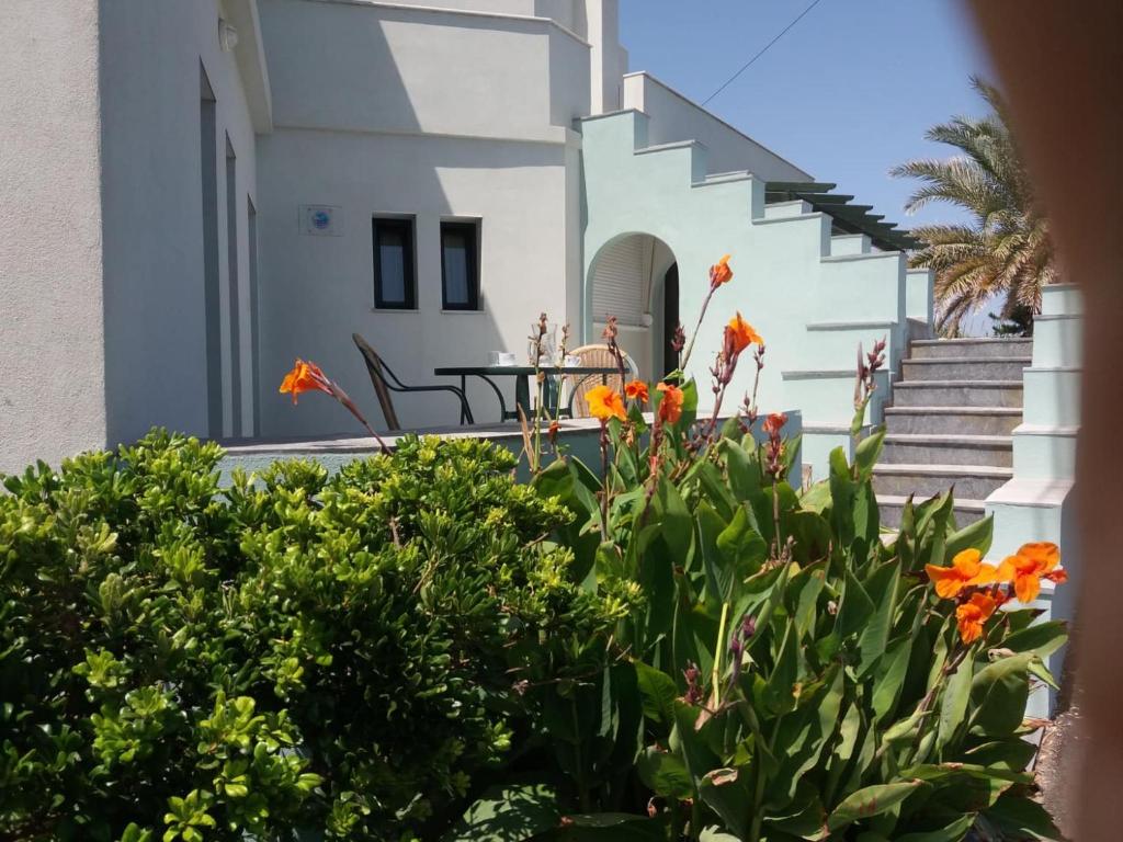 Balkon lub taras w obiekcie Sunrise Beachfront Apartment
