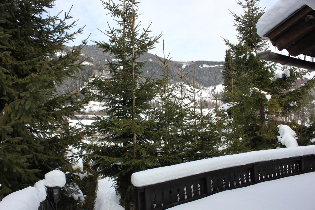 grupa drzew z śniegiem na nich w obiekcie Chalet Heidi BKK w mieście Bad Kleinkirchheim