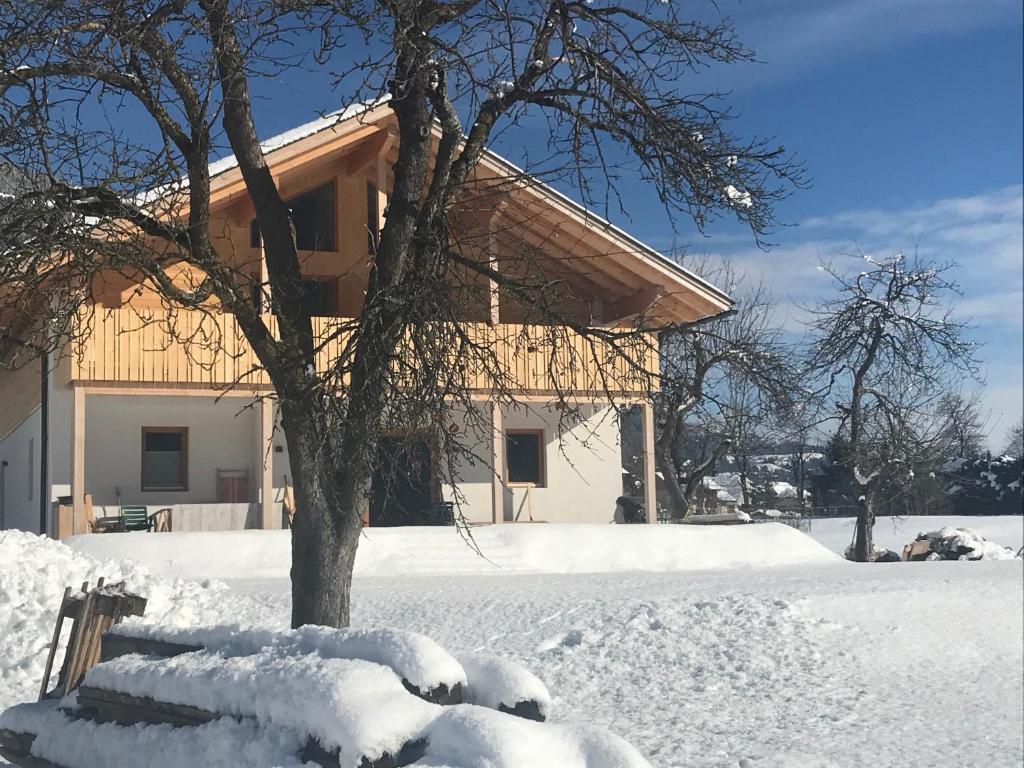 Alpenlodge Kirchbach v zimě