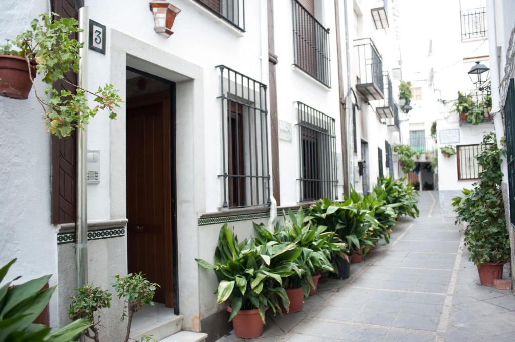 an alley with potted plants on the side of a building at Vivienda Turistica Arabeluj in Güéjar-Sierra