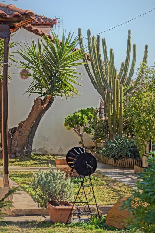 Zahrada ubytování Ancient Corinth Guest House