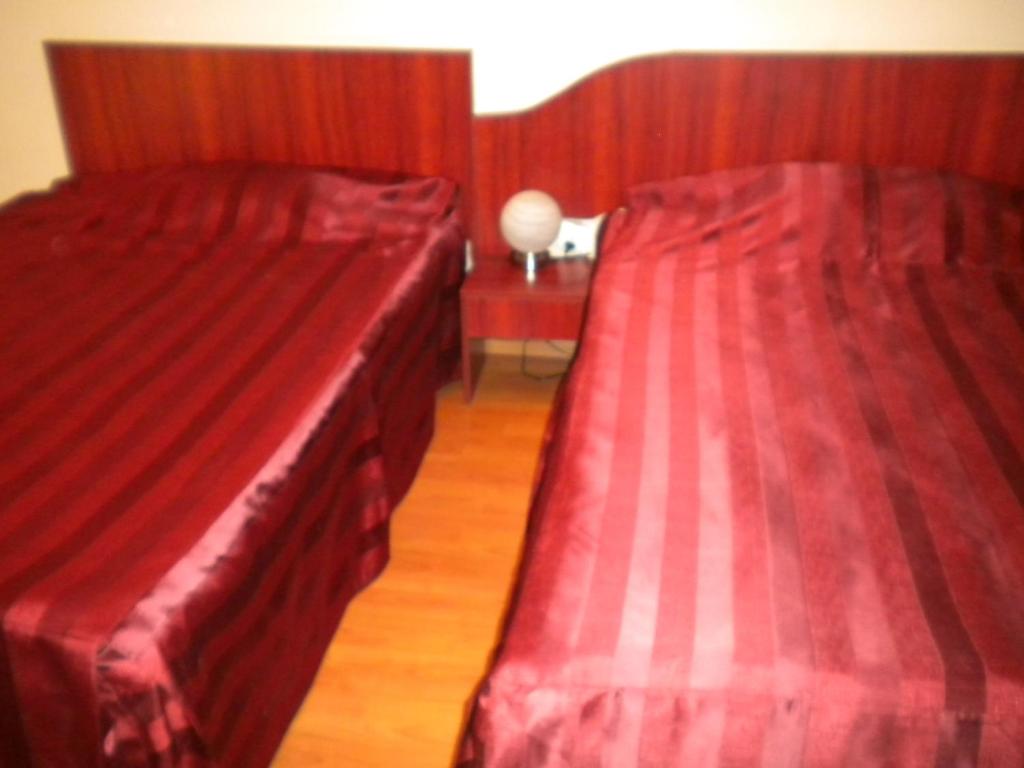 Hotel Ary - Resim 19