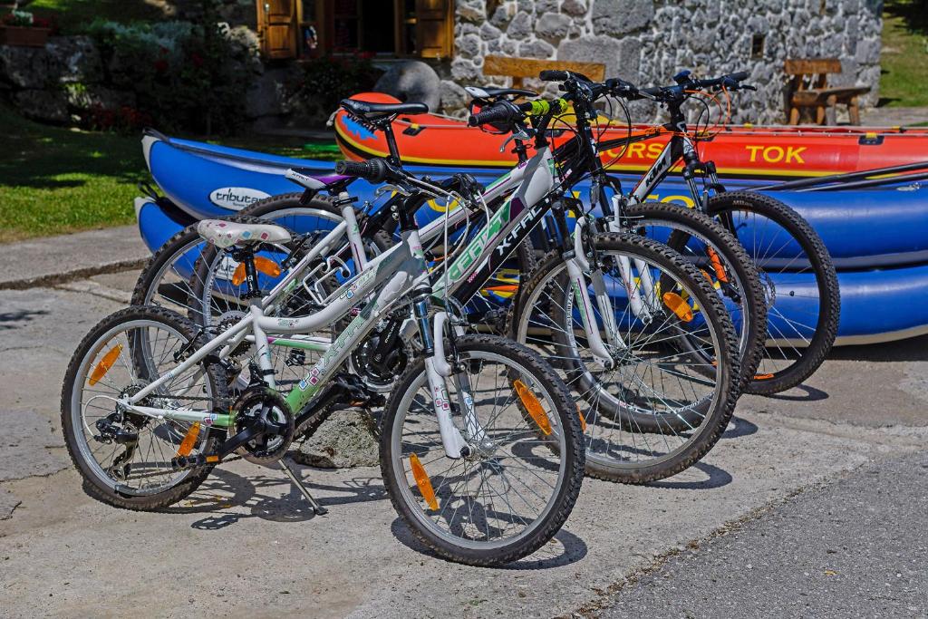 Jazda na bicykli v okolí ubytovania Sobol in Kočičin (Haus für 6-9 Personen)