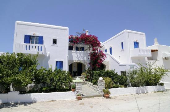 a group of white buildings with plants in front of them at Moschoula Studios in Parikia